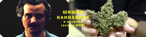 дурь Алзамай
