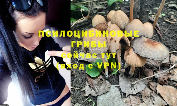 дурь Алзамай