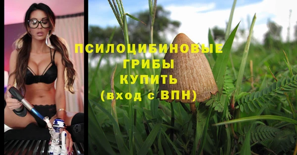 соль курить ск Алексеевка