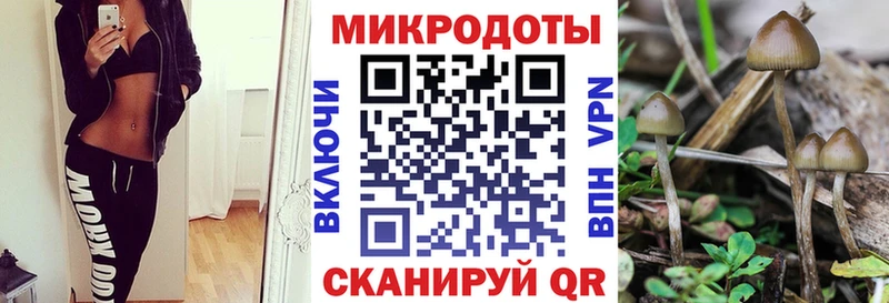 Псилоцибиновые грибы Psilocybe  МЕГА онион  Киселёвск 