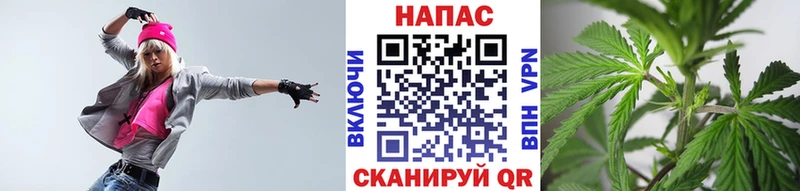 Конопля индика  цена наркотик  Киселёвск 